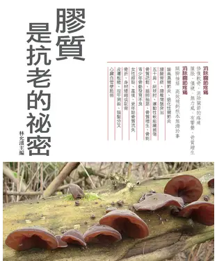 書封 膠質是抗老的秘密